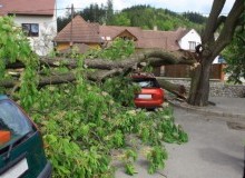 Kwikfynd Tree Cutting Services
keweast