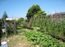 Kwikfynd Vegetable Gardens
keweast